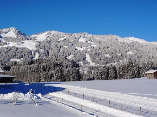 a snow covered slope with a mountain in the background at Gästehaus Koros in Fischen