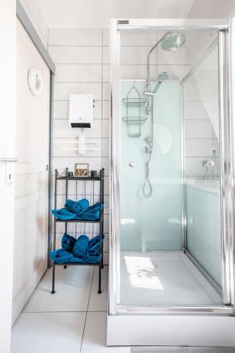 une douche avec une porte vitrée dans une salle de bain dans l'établissement GANZALIESELE, à Colmar