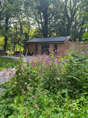 Alum House Littlebeck Glamping Whitby photo 22