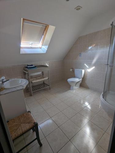 une salle de bain avec toilettes, lavabo et douche dans l'établissement Le Logis du Marronnier, à Perpezac-le-Noir