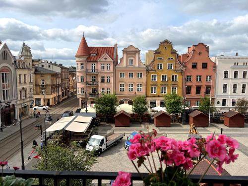 a view of a city with buildings and pink flowers at Diamond Apartment in Grudziądz