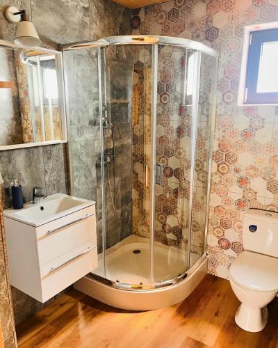a bathroom with a shower with a sink and a toilet at GRASÓWKA in Werlas