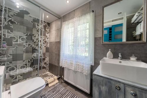 een badkamer met een wastafel, een toilet en een spiegel bij Arilia Country Cottage in Danilia