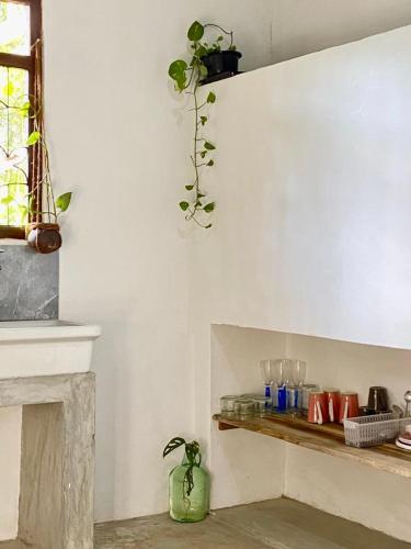 a room with a shelf with a plant on the wall at Hello Homestay in Galle