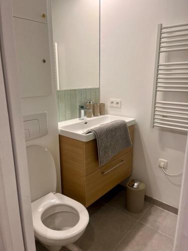 une salle de bain avec toilettes, lavabo et miroir dans l'établissement Bright studio on garden, à Paris