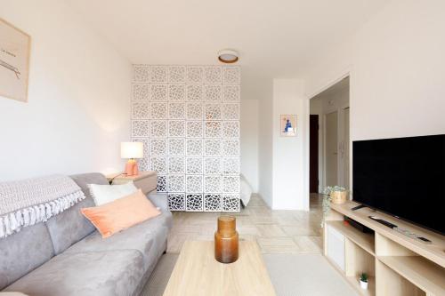 un salon avec un canapé et une télévision à écran plat dans l'établissement Nice Flat with terrace & parking near city center, à Cannes