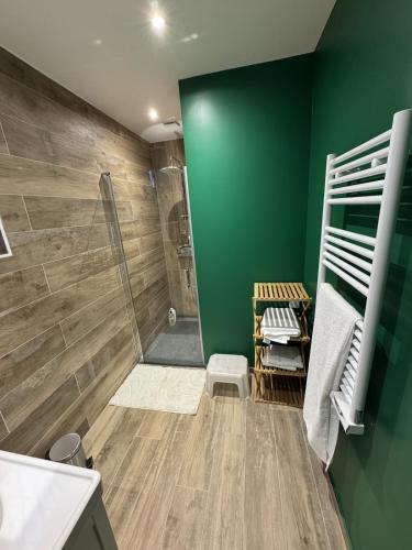 La salle de bains est pourvue de murs verts et d'une douche. dans l'établissement Le calme entre Paris et Disney, à Villiers-sur-Marne