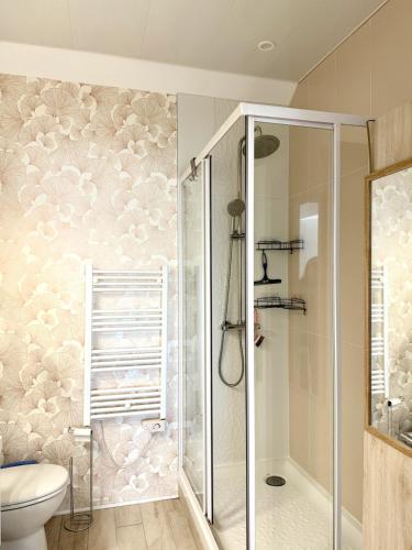 une salle de bain avec douche et toilettes dans l'établissement Les Lutins Villa Le Pouliguen, au Pouliguen
