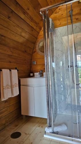 a bathroom with a shower in a wooden ceiling at Quinta Lama de Cima in Fafe