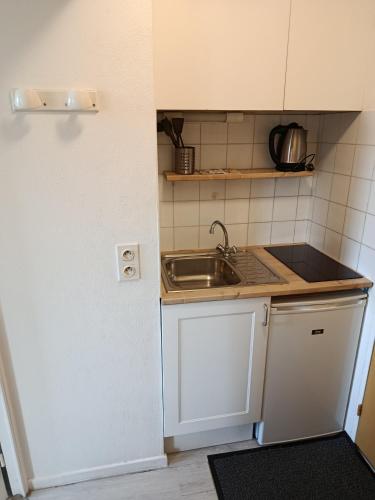 une petite cuisine avec un évier et un comptoir dans l'établissement Studio proche centre ville, à Avignon