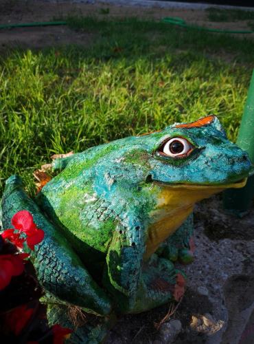a green frog sitting on the grass with red flowers at Šilas in Degučiai