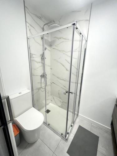 a bathroom with a shower with a toilet at Apartamento Portus Apostoli in Noya