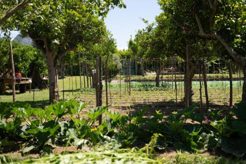 a fence in a park with trees and plants at 1912 Relais - Sorrento Coast in Piano di Sorrento