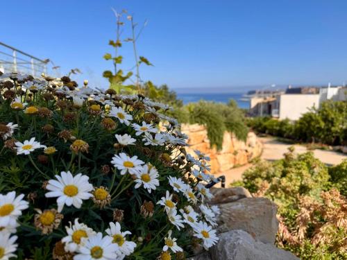 Φυσικό τοπίο κοντά σε αυτό το bed & breakfast