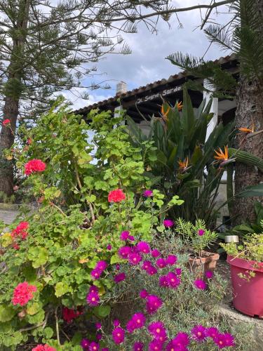 a garden with pink and purple flowers in front of a building at Bed and Breakfast Il Sogno Sardo in Pimentel