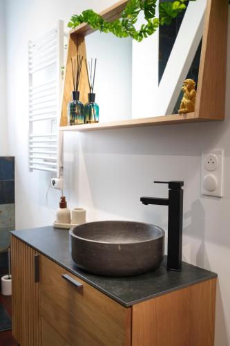 a bathroom with a sink on top of a counter at Jungle Évasion, Épernay in Épernay