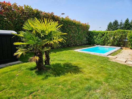 a palm tree in the grass next to a swimming pool at Maison très bien équipée avec piscine et au calme in Bourg-en-Bresse