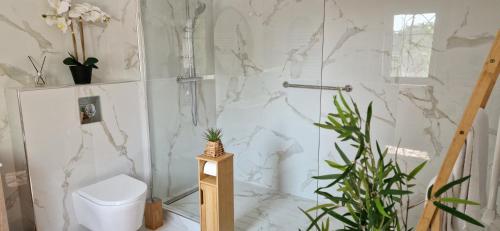 a bathroom with a toilet and marble walls at Les Randonneuses in Marcilly-sur-Seine