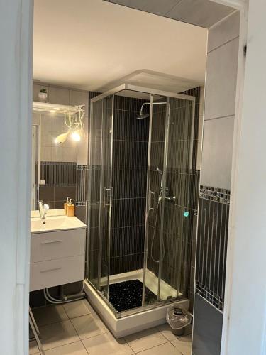une salle de bain avec une douche avec un lavabo et un miroir dans l'établissement Charming studio near Sanctuary, à Lourdes