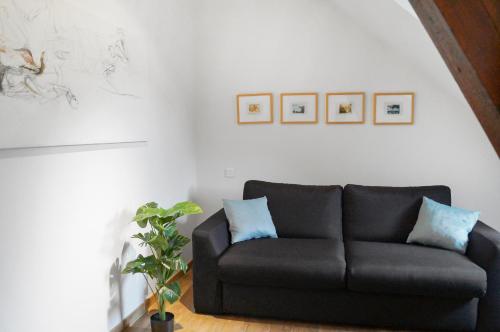 a living room with a black couch and a plant at ART Hôtel in Kaysersberg