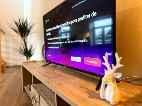 Televisyen dan/atau pusat hiburan di Le Duplex de Remouchamps Grottes Parc animalier