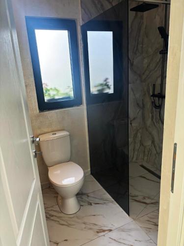 a bathroom with a toilet and a shower with two windows at Cuibul lui Răzvan - Domeniul Barabuc Colibița in Colibiţa