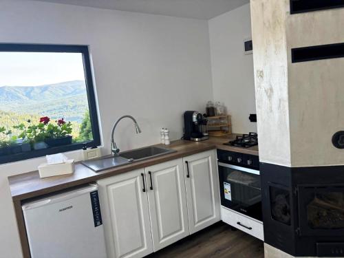 a kitchen with a sink and a window with a view at Cuibul lui Răzvan - Domeniul Barabuc Colibița in Colibiţa