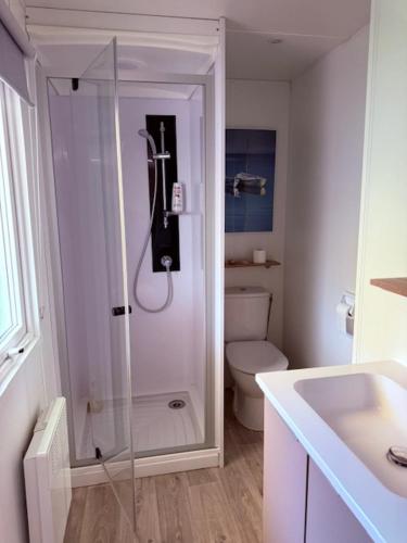 une salle de bain avec une douche, des toilettes et un lavabo dans l'établissement Mobil-home plage des casernes, à Seignosse