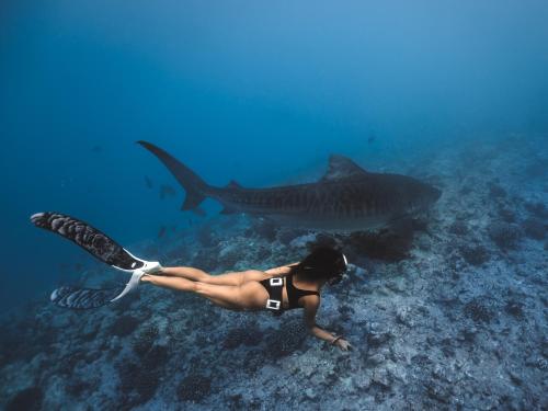 a woman in a bikini looking at a shark in the ocean at Ataraxis Grand and Spa Fuvahmulah in Fuvahmulah