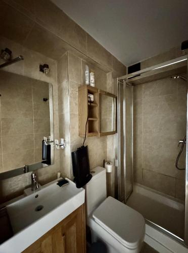 une salle de bain avec toilettes, lavabo et douche dans l'établissement ARC 2000, Studio rénové 4 couchages, Vue Montagne, à Arc 2000