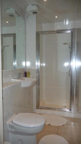 W łazience znajduje się prysznic, toaleta i umywalka. w obiekcie Minto House w Edynburgu
