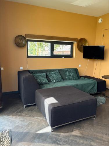 a living room with a couch and a flat screen tv at Casita Wijchen complete Tiny house in Wijchen