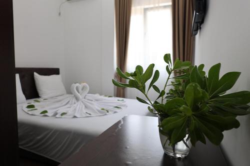 a table with a plant and a plate on a bed at Hotel Lobo Budva in Budva
