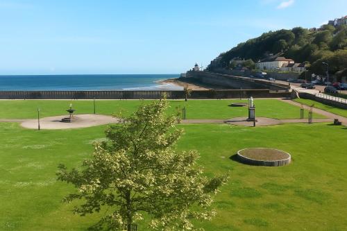 a park with a tree in the middle of a field at Youghal in Youghal