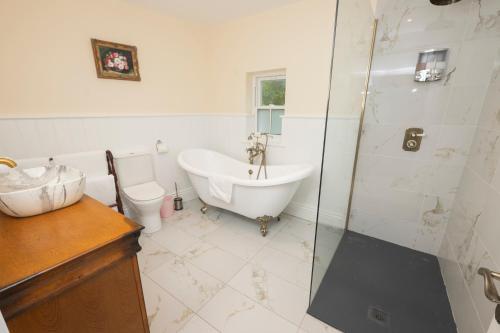 a bathroom with a tub and a shower and a toilet at Tobervilla Guest House in Caherdaniel