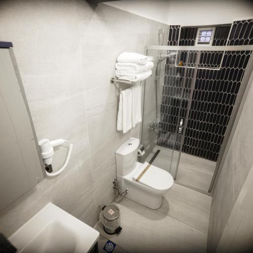 a bathroom with a toilet and a shower with towels at Palm Villa Büyükada in Istanbul