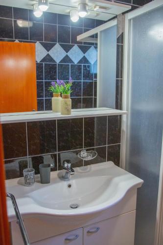 a bathroom sink with two plants on a shelf at Apartments Mirakul in Lopar