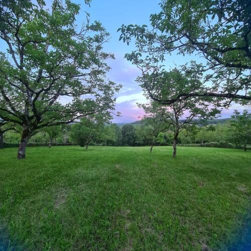 un champ d'herbe planté d'arbres en arrière-plan dans l'établissement Sous les Noyers Autoire, à Autoire