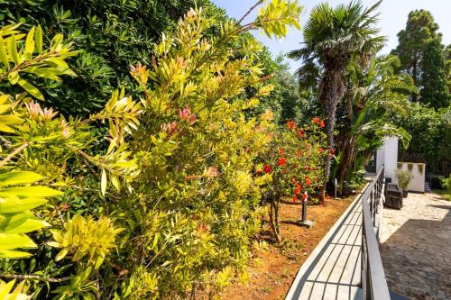 Taman di luar Ibis Lodge With Swimming Pool