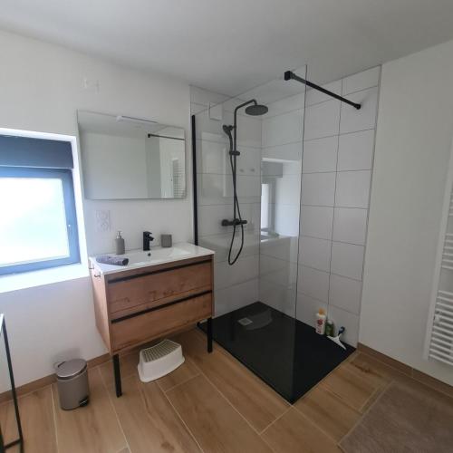 a bathroom with a sink and a shower at Aubié superbe propriété pour 20 avec piscine in Latouille-Lentillac