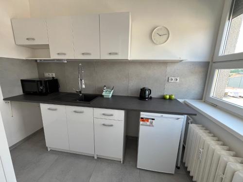 Una cocina o cocineta en Apartmány pod Radobýlem