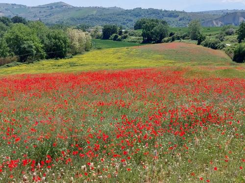Paesaggio naturale nelle vicinanze dell'appartamento