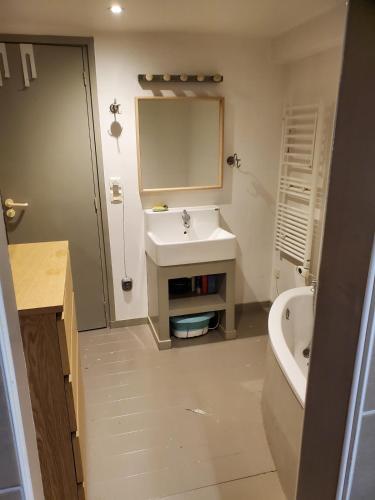 une salle de bain avec un lavabo, un miroir et une baignoire dans l'établissement Artist's house for rent, à Guérande