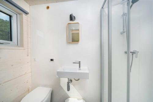 a bathroom with a toilet and a sink and a shower at Una Stanza con vista tra le colline senesi - Friland in Fattoria Falsini