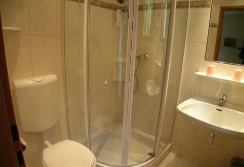 a bathroom with a shower and a toilet and a sink at Haus Petersmann in Ramsau am Dachstein