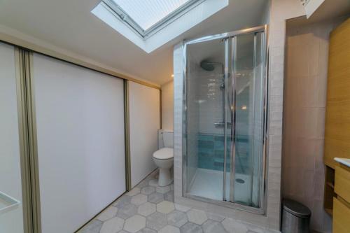 une salle de bain avec douche et toilettes dans l'établissement Villa de Caractère Piscine Cosy & Calme, à Tassin-la-Demi-Lune