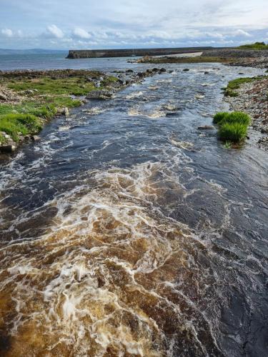 a stream of muddy water with grass on a beach at Teachín an tSrutháin in Galway