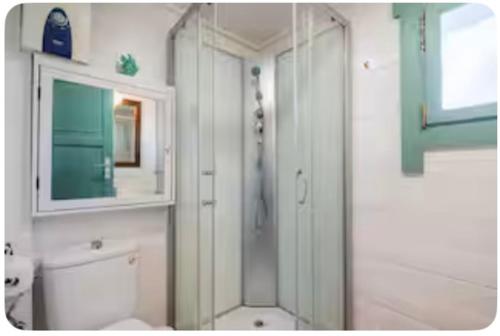 een badkamer met douche, toilet en spiegel bij La Cabaña de Doñana in El Rocío
