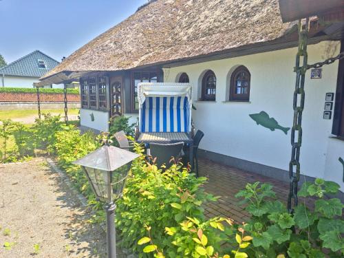 a blue and white chair sitting outside of a house at Fischstübchen Neeberg Fewo 4 – Schwalbennest in Krummin