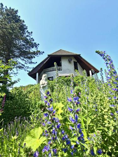 a house on top of a hill with purple flowers at Fischstübchen Neeberg Fewo 4 – Schwalbennest in Krummin